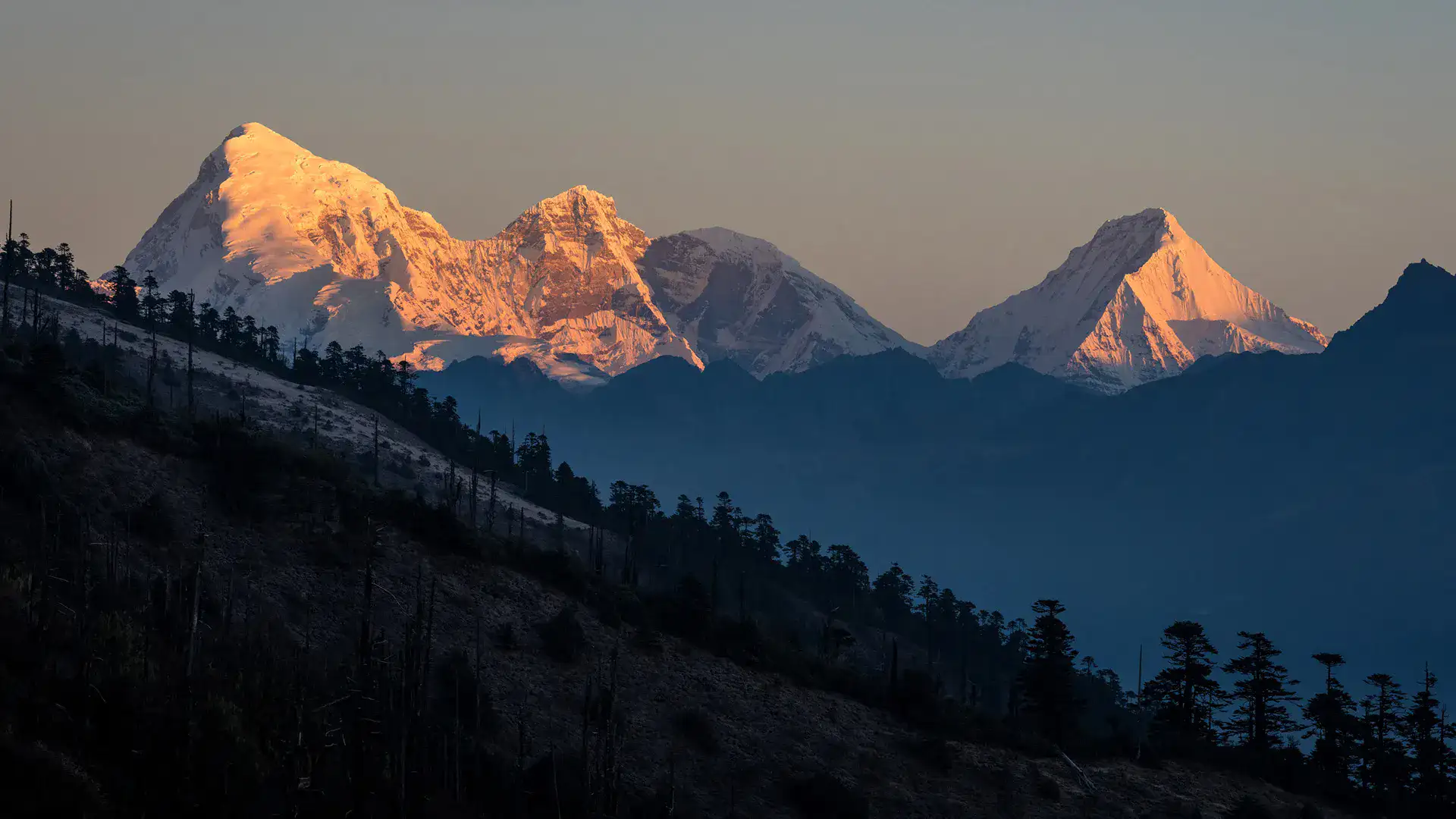 Bhutan Highlands
